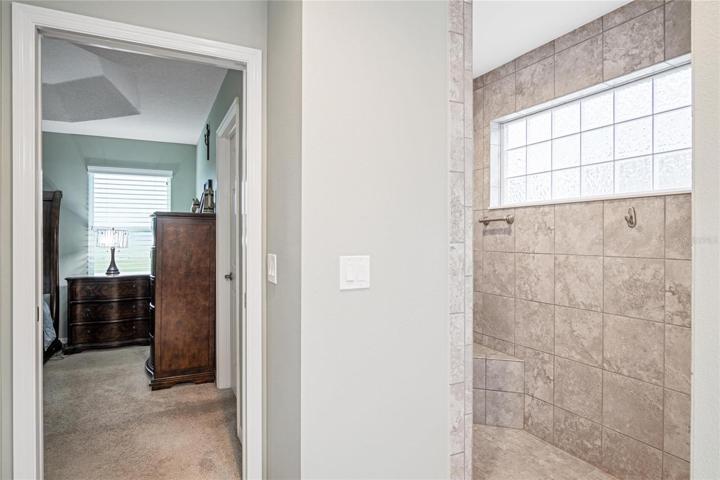 Walk in shower with natural light with privacy
