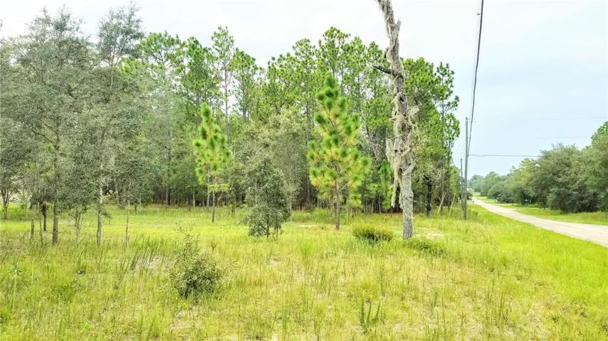 Almost HALF an ACRE  .46 !!! Wow. Located on paved Road. Nearly cleared with nice Oak Trees. Saves you $$$ on clearing !!!