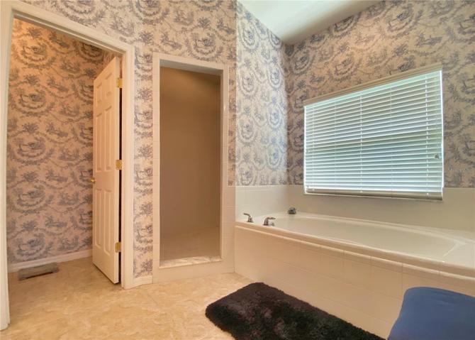 Spacious Shower and Large Soaking Tub
