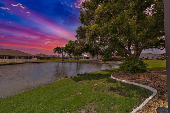 Twilight Rear Yard View