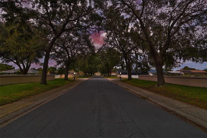 Lovely Caloosa Boulevard @ Twilight