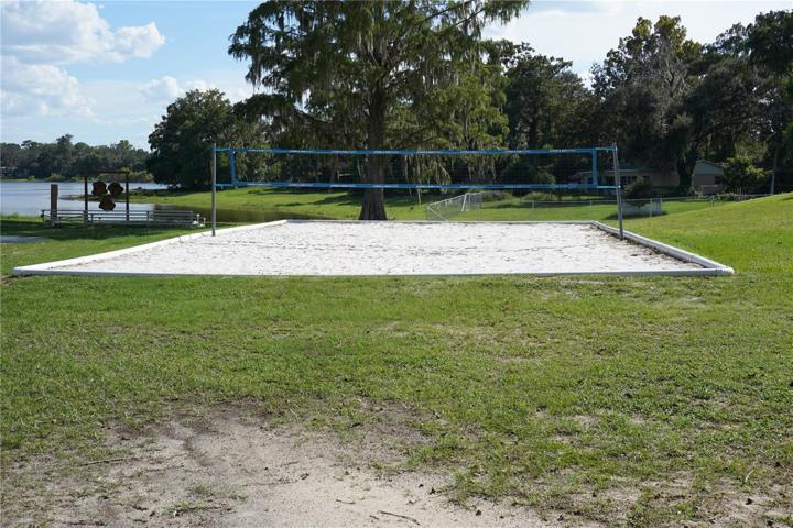 Volleyball