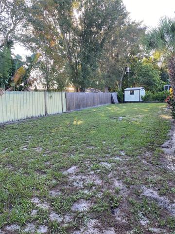 back yard