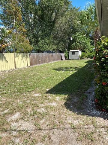 back yard