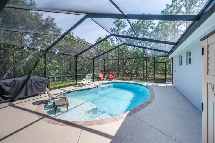Pool with "sun shelf" and plenty of deck space for lounging