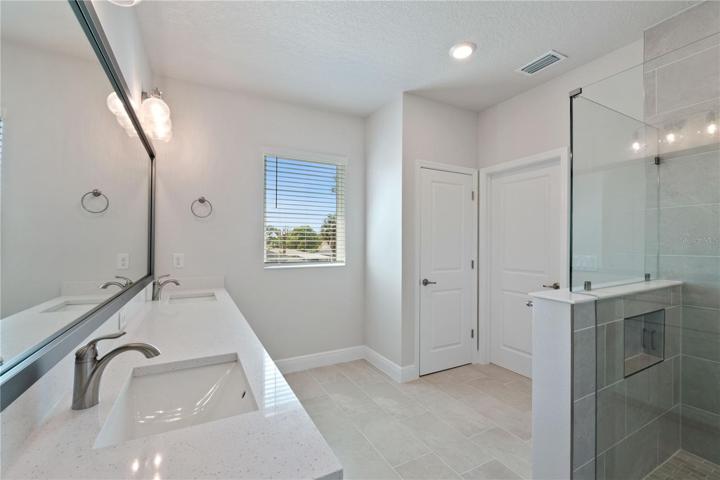 Owner's Bath