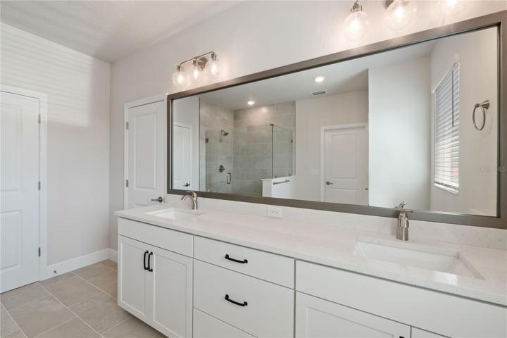 Owner's Bath