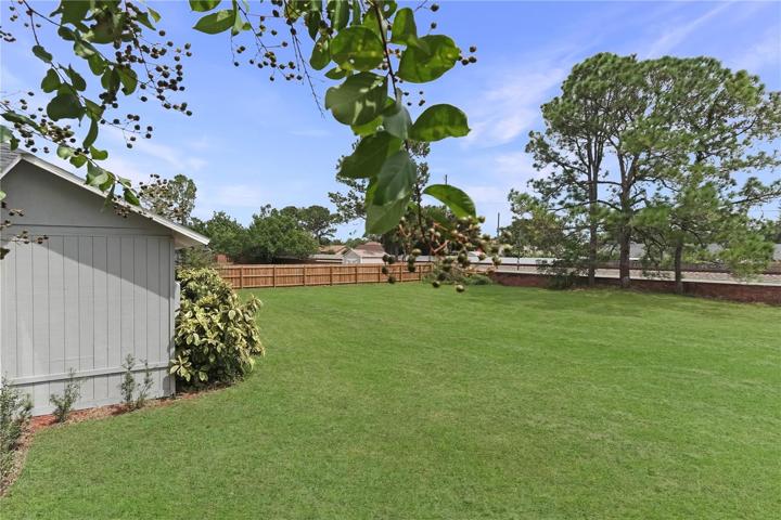 Backyard