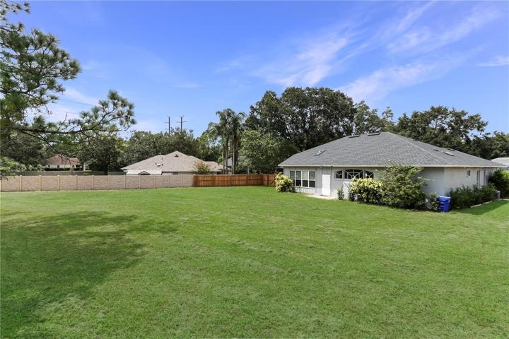 Backyard