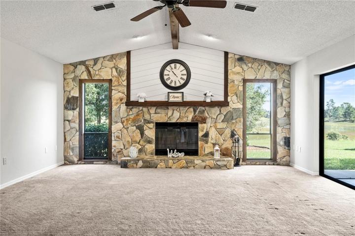 Wood Burning Fireplace
