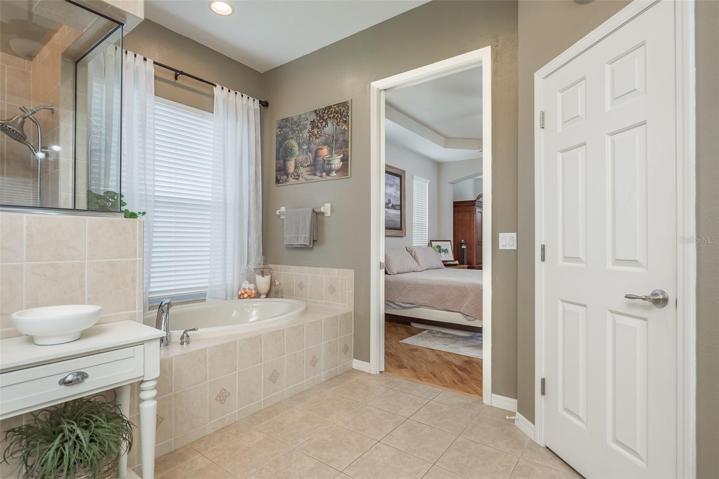 Master Bathroom With Spa Soaker Tub