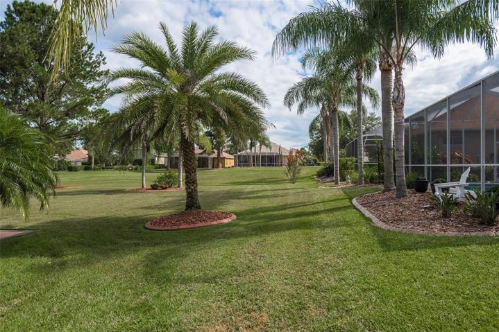 Lush Landscaping