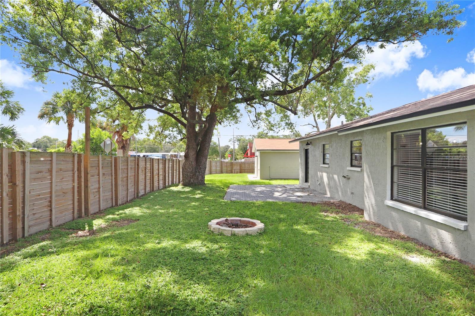 Back Yard