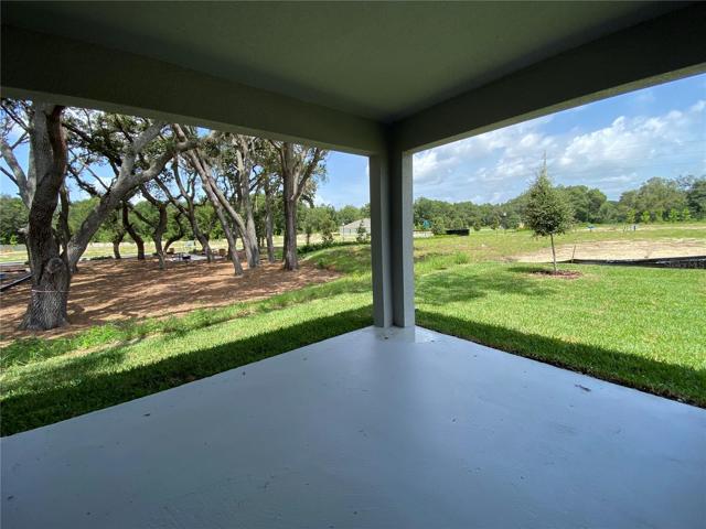 Back Patio
