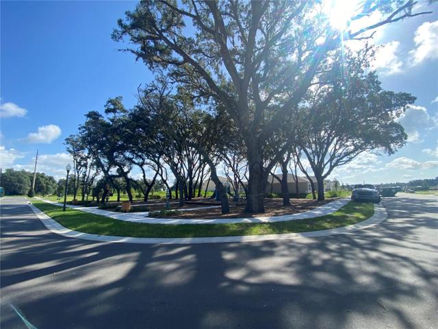 Playground, Location of Home Pictured Beyond