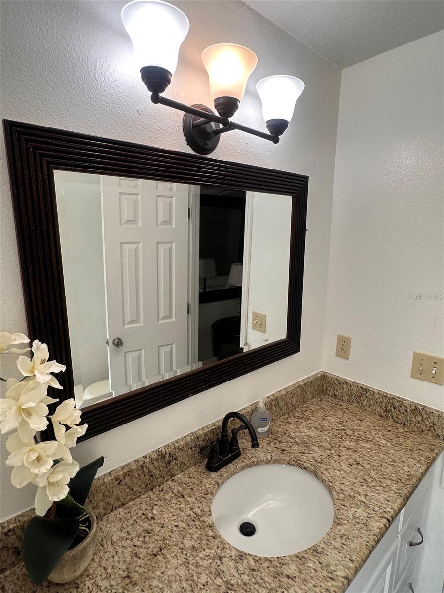 MASTER  BATH MIRROR