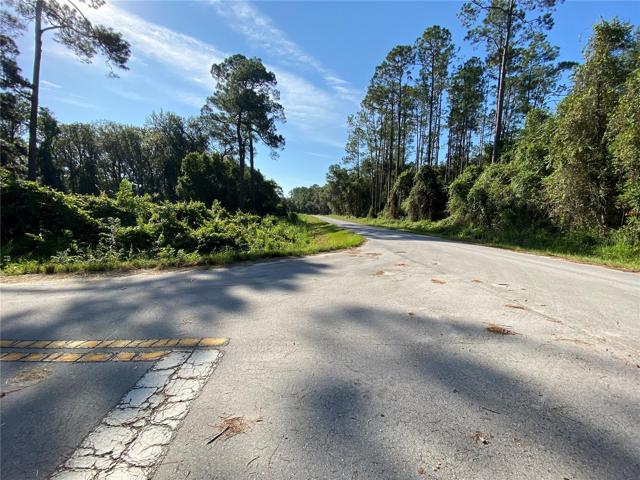 Looking at Locust Run Drive