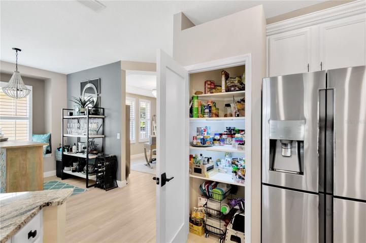 Spacious Pantry w/Custom Wood Shelving & Upgraded Opaque Glass Panty Door