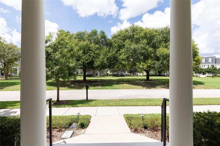 View from Front Porch