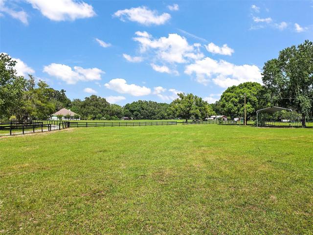 Pasture