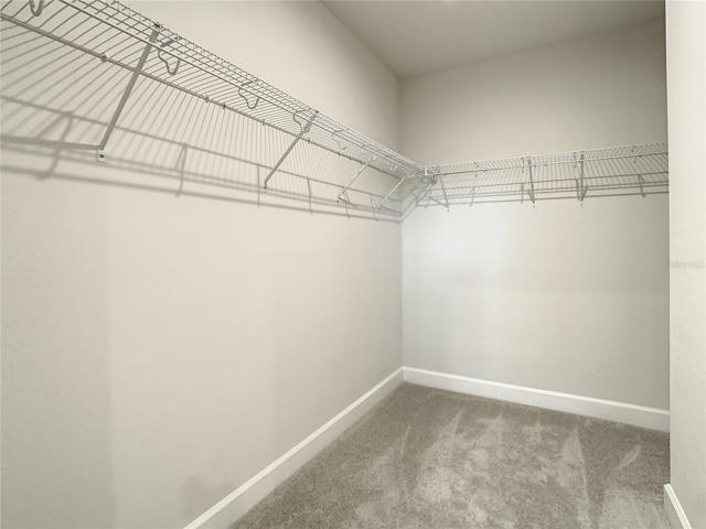 Owners Walk In Closet
