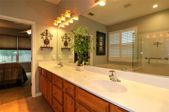 Primary Suite Bath