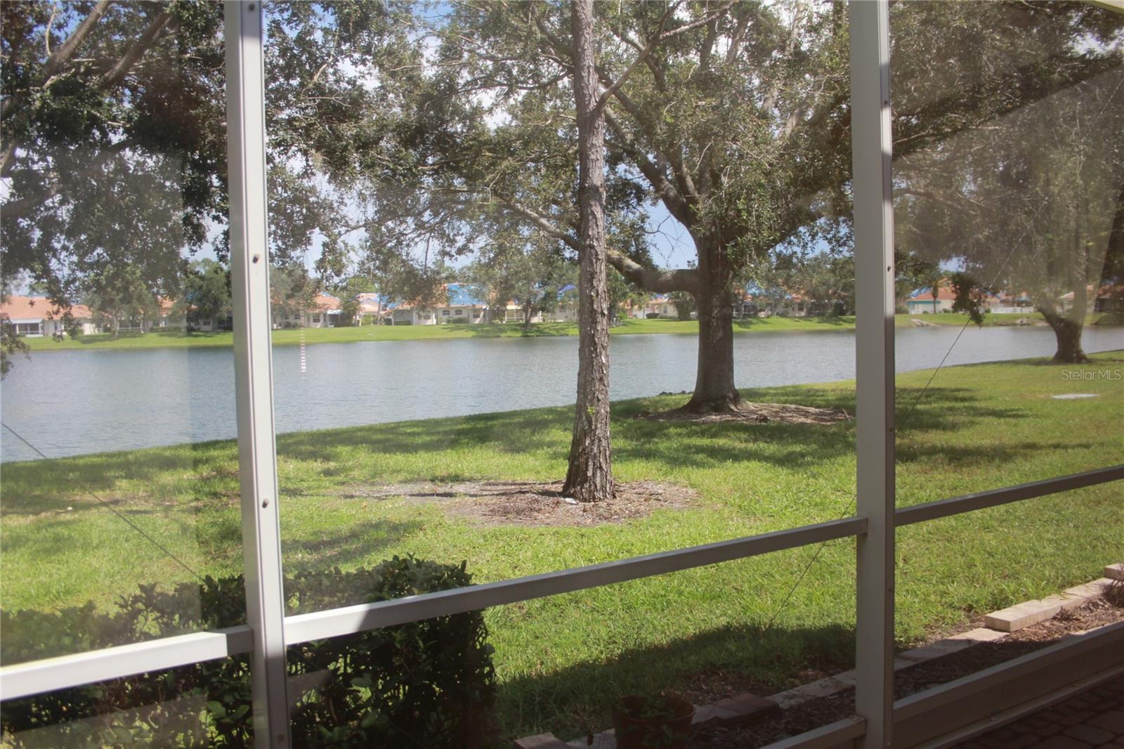 Coffee and a water view