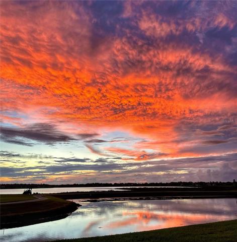 Back yard sunset