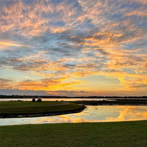 Beautiful sunset for the back yard