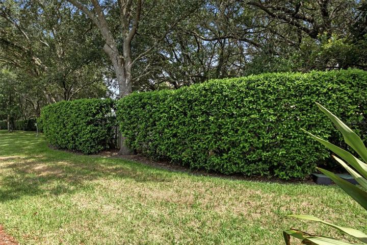 Sections of nice privacy hedge that are maintained as part of the CareFree maintenance provided as part of your HOA.