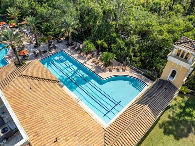 Lap pool