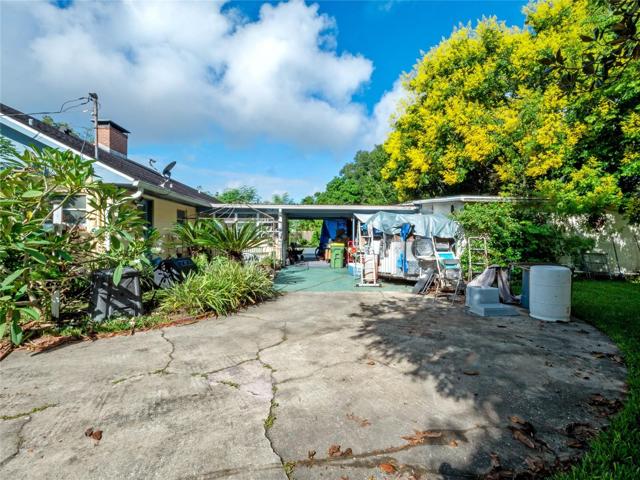 View of backyard.