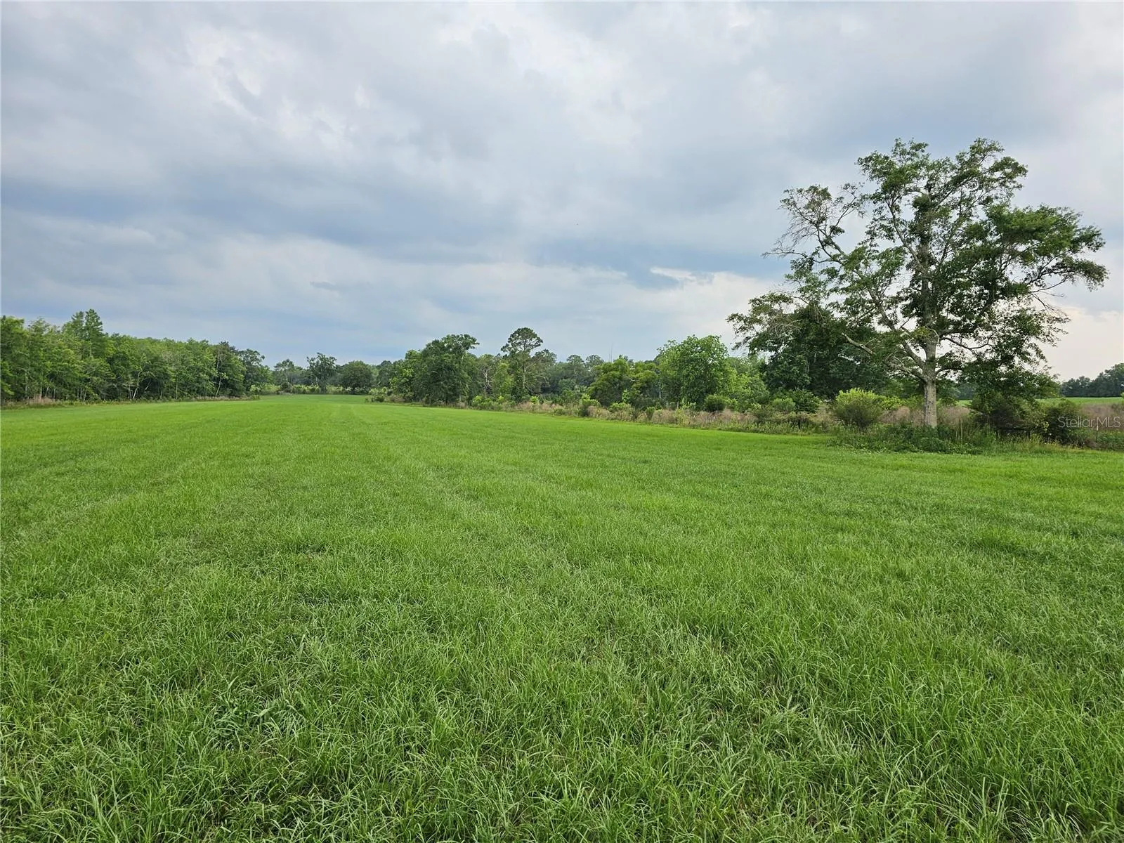 Pasture/farm land