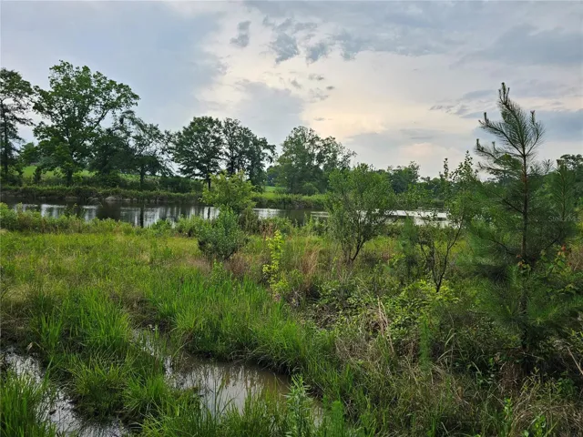 Spring fed pond on property