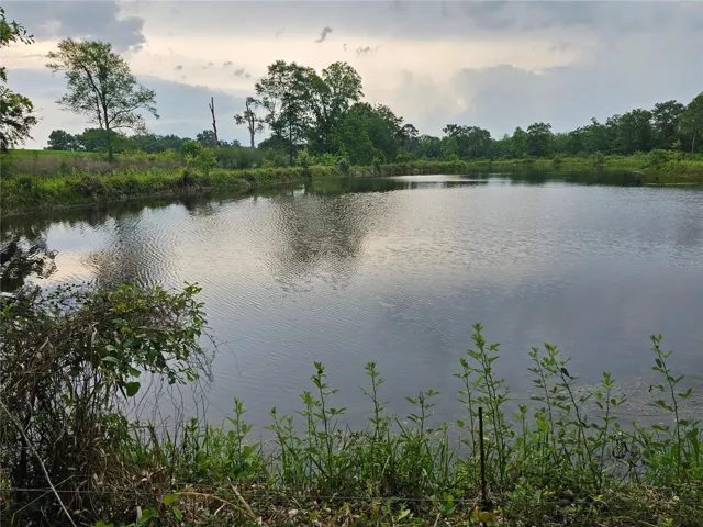 Pond