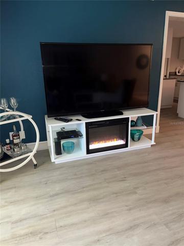 Electric Fireplace...provides ambiance as well as heat.