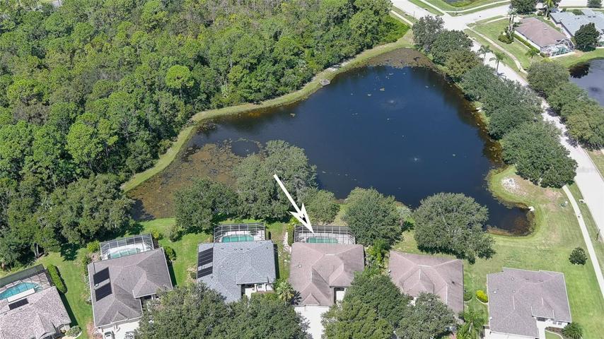 Aerial.