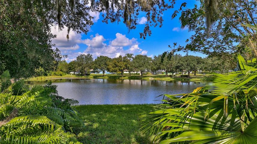 Pond view.