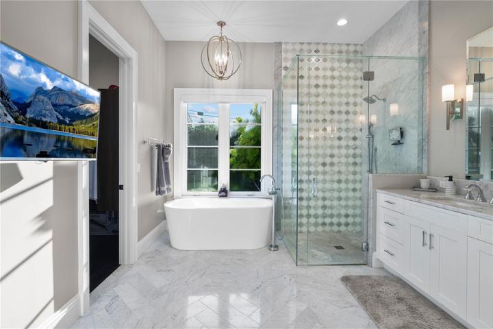 shower and counters