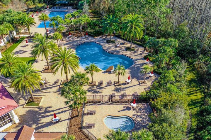 Lap, Recreational and Kiddie Pool