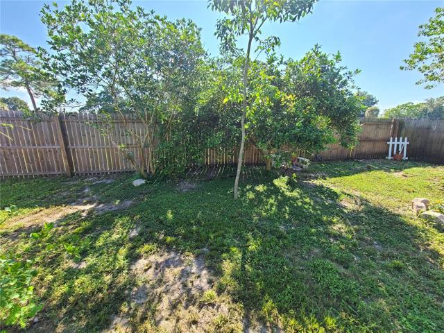 Back yard with fruit trees
