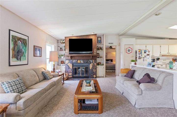 Living room has electric fireplace, Berber carpet, and fully furnished.