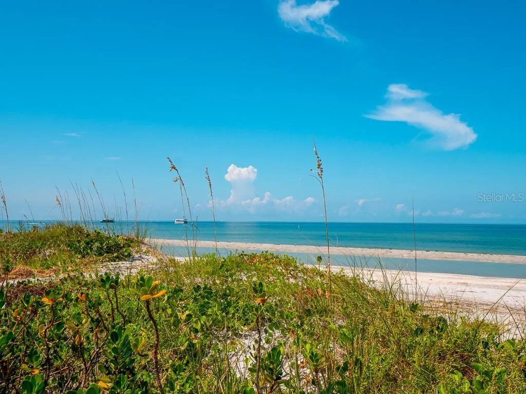 Beautiful sand dunes
