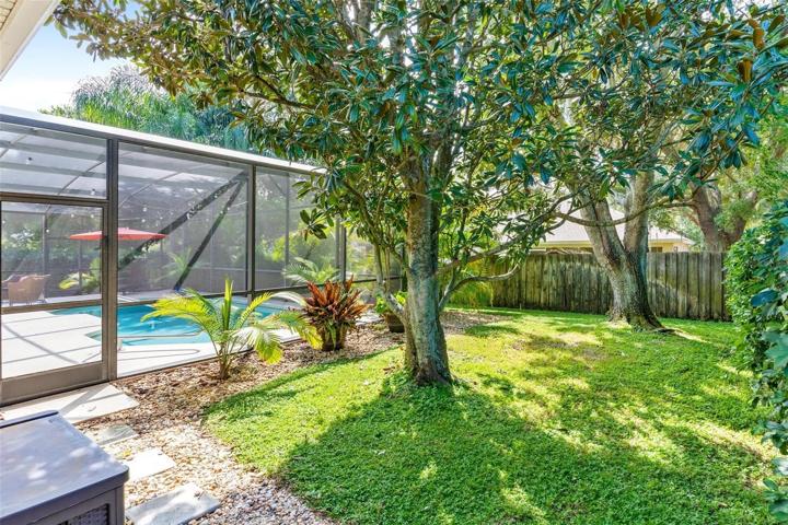 Backyard Area