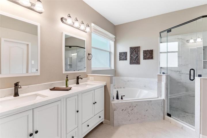 Master Bathroom with Garden Tub