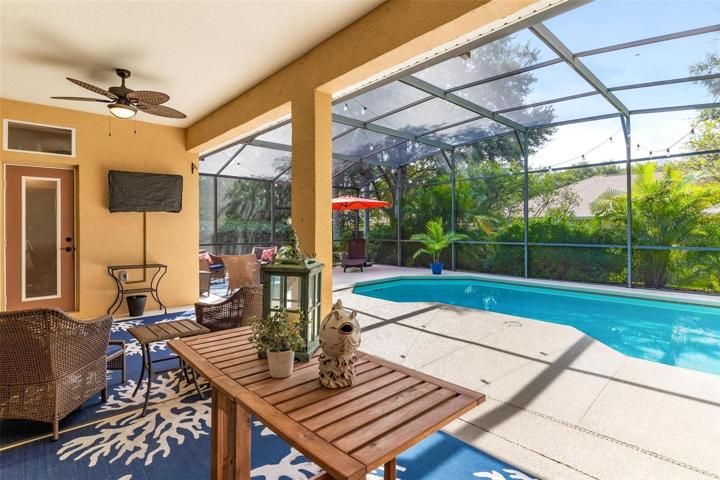 Enclosed Lanai Area