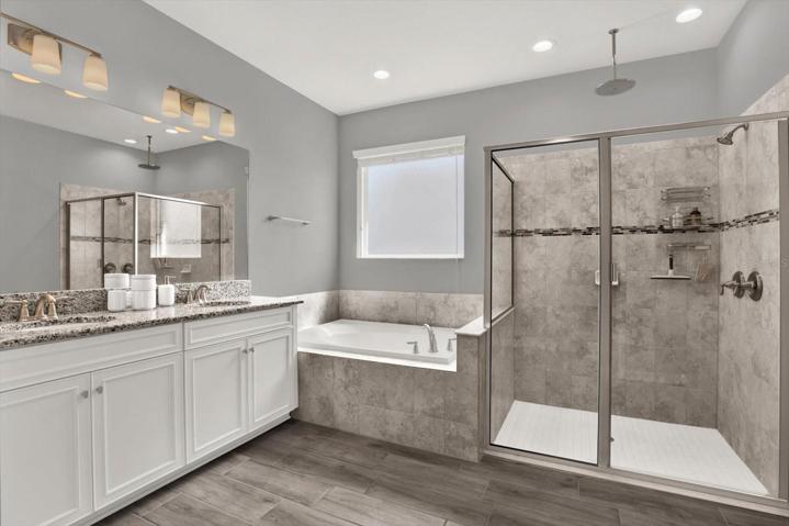 Master Deluxe bathroom rain shower