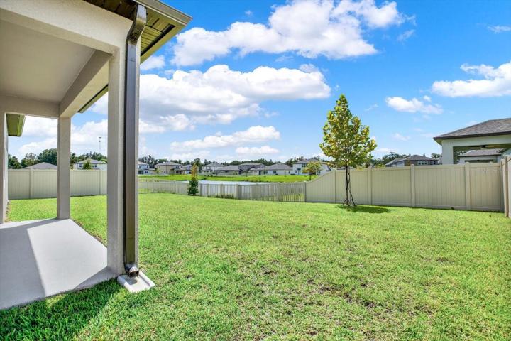 Fenced Backyard