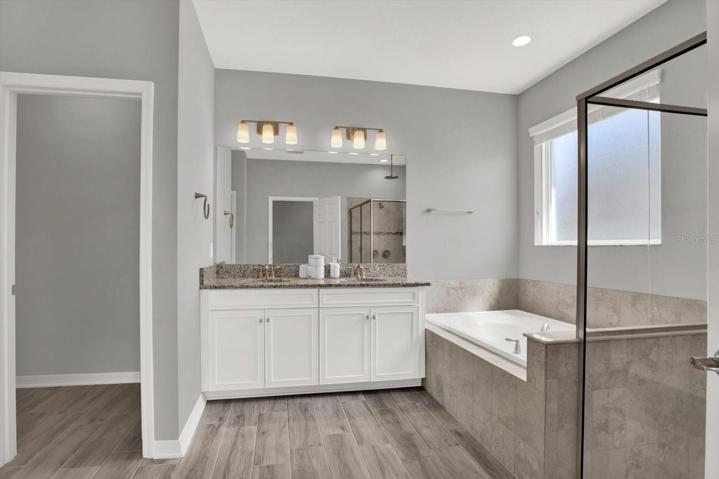 Master Bathroom double sinks