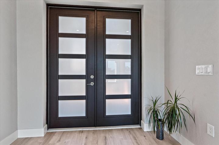 Hurricane Impact Front Door